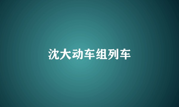 沈大动车组列车