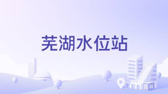 芜湖水位站