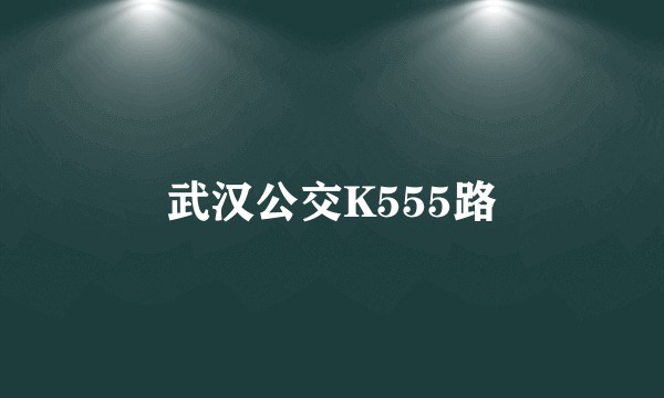 武汉公交K555路