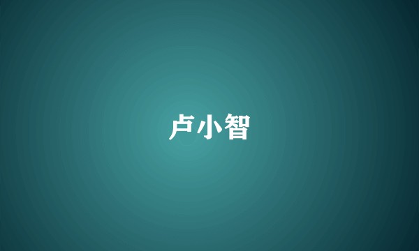卢小智