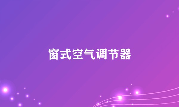 窗式空气调节器