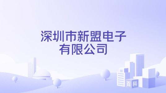深圳市新盟电子有限公司