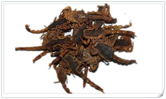 杜伯(中药药材)