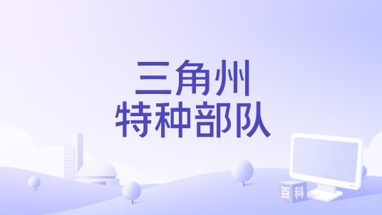 三角州特种部队（约瑟·韦恩执导的电影）