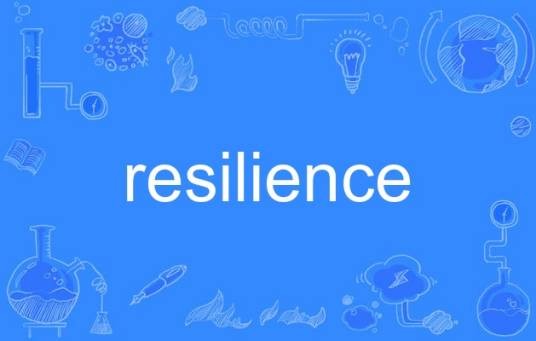 resilience（英语单词）
