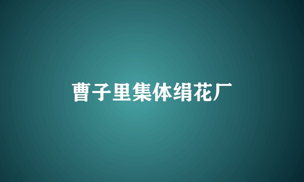曹子里集体绢花厂
