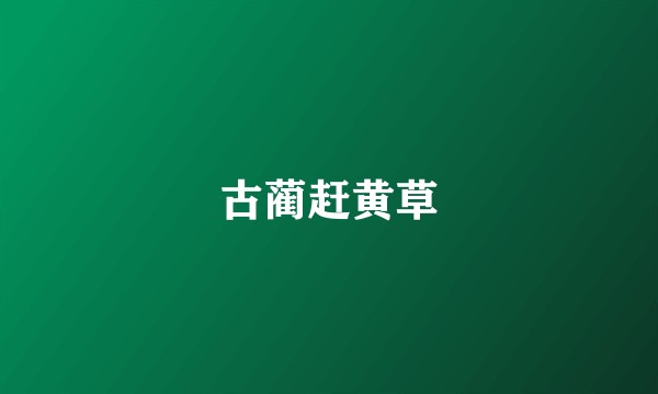古蔺赶黄草