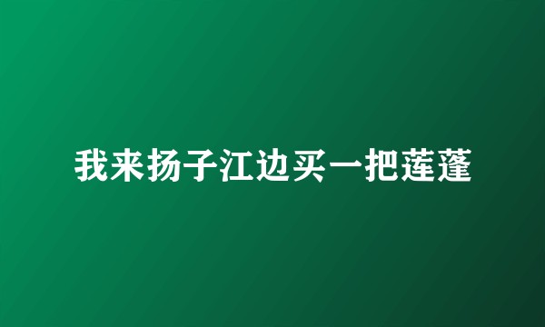 我来扬子江边买一把莲蓬