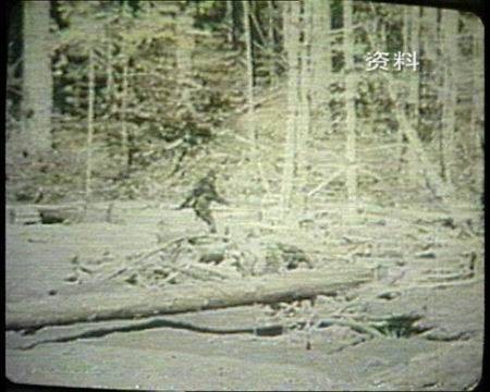 中国野人