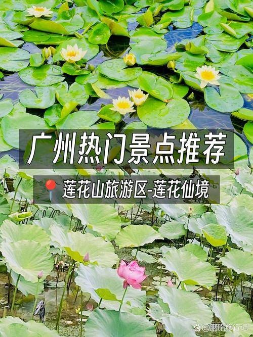 莲花仙境