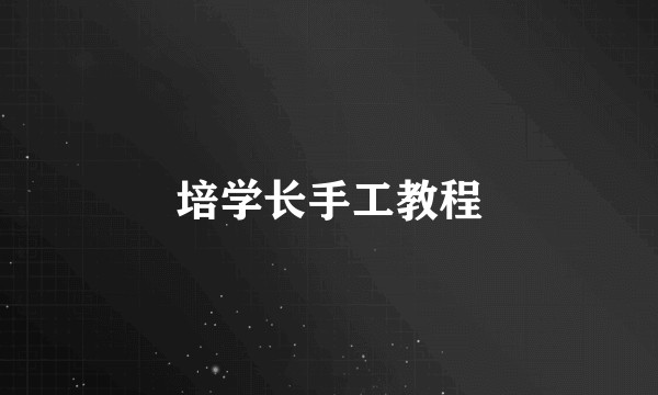 培学长手工教程