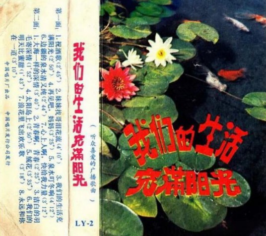 青春呵青春