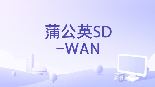 蒲公英SD-WAN
