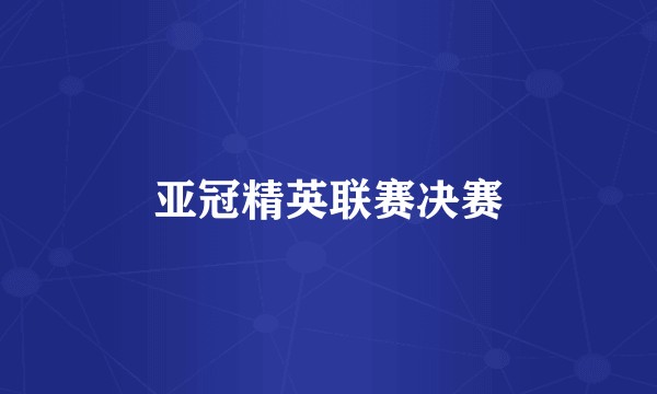 亚冠精英联赛决赛