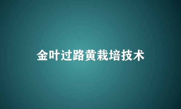 金叶过路黄栽培技术