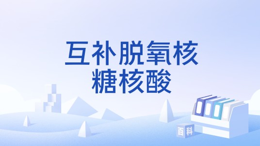 互补脱氧核糖核酸