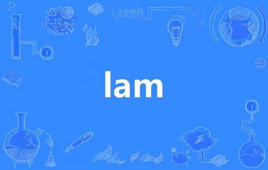 lam（英语单词）