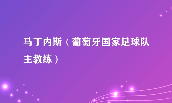 马丁内斯（葡萄牙国家足球队主教练）