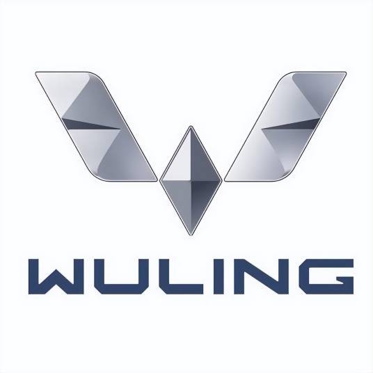 五菱银标