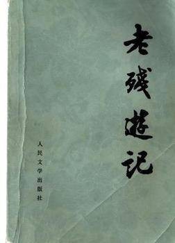 绝唱（刘鹗《老残游记》节选入初中课本的篇目）