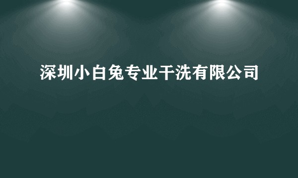 深圳小白兔专业干洗有限公司