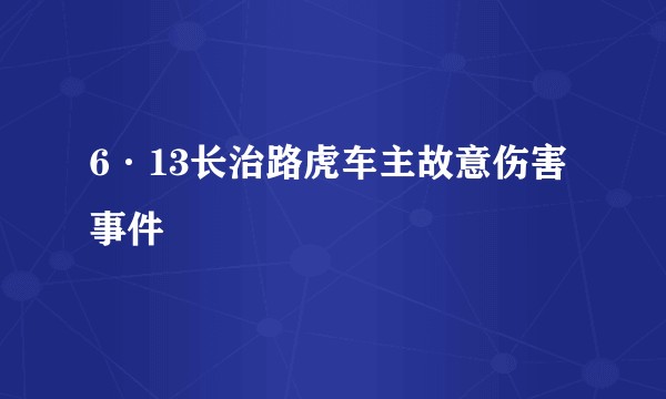6·13长治路虎车主故意伤害事件