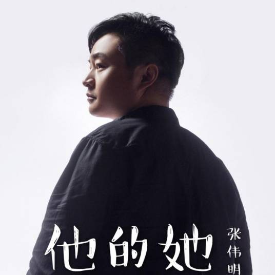 他的她（张伟明2018年演唱的歌曲）