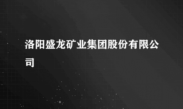 洛阳盛龙矿业集团股份有限公司