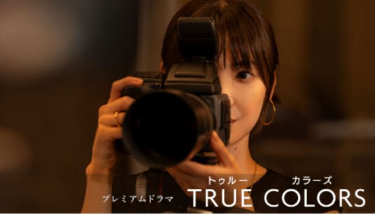 True Colors（2024年仓科加奈主演的电视剧）