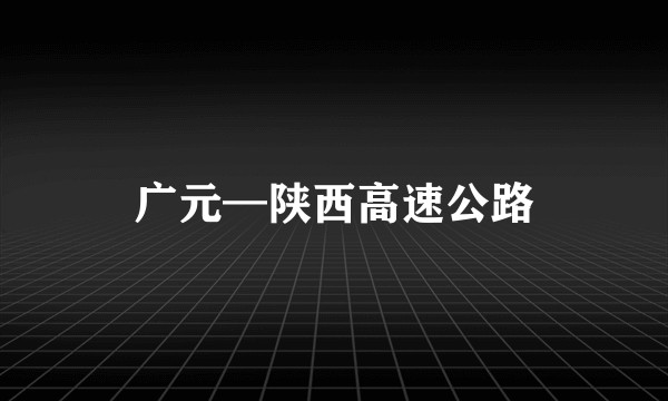 广元—陕西高速公路