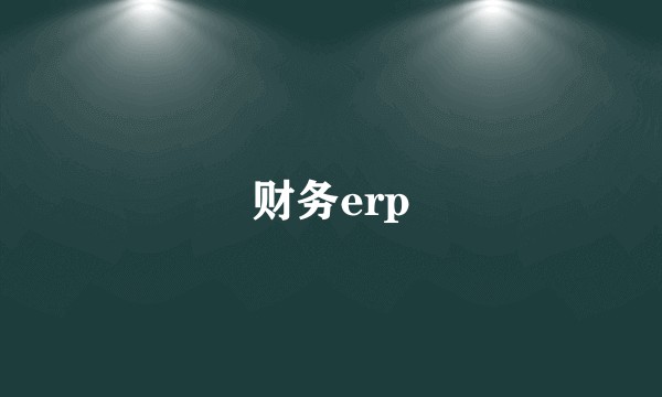 财务erp