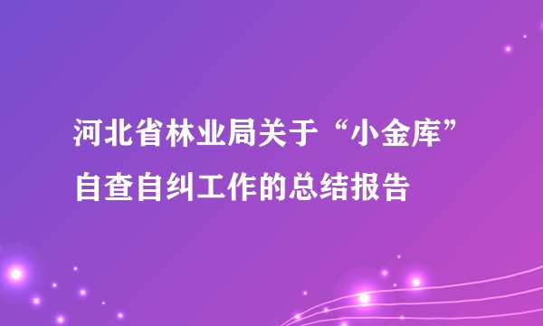 河北省林业局关于“小金库”自查自纠工作的总结报告