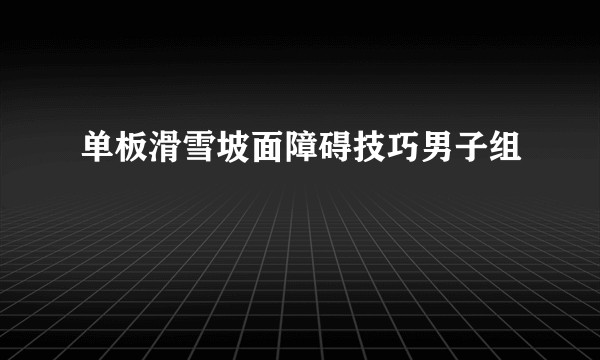 单板滑雪坡面障碍技巧男子组
