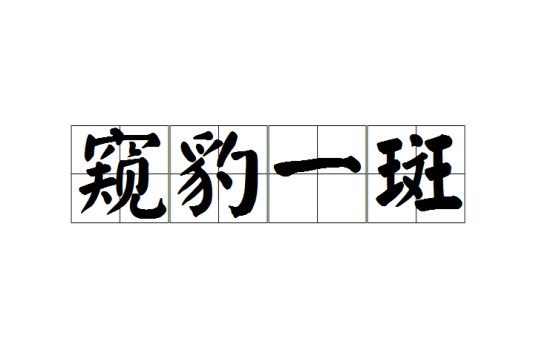 窥豹一斑