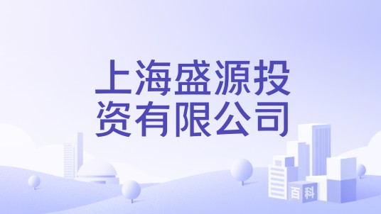 上海盛源投资有限公司