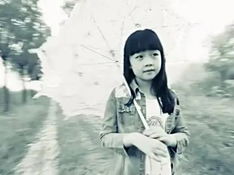 马一凡的介绍