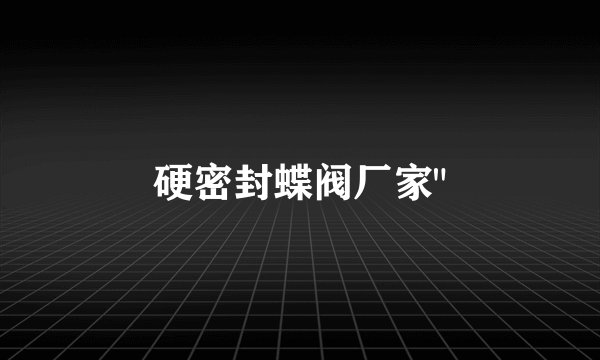 硬密封蝶阀厂家