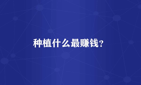 种植什么最赚钱？