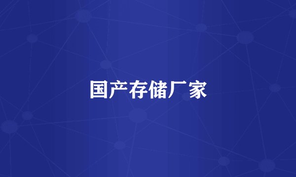 国产存储厂家