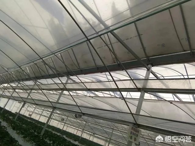 如何看待2018年的第一场暴雪,将安徽一农民的大棚压垮,损失200多万元?