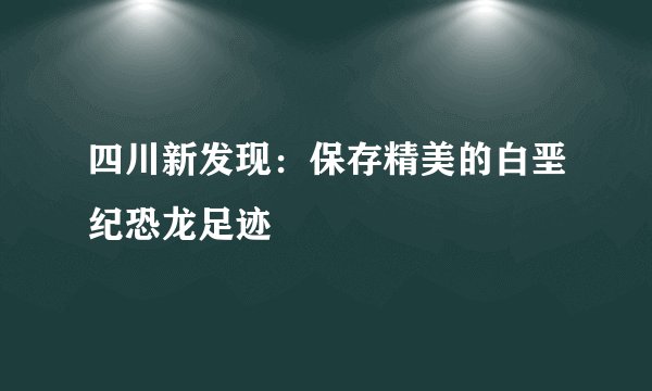 四川新发现：保存精美的白垩纪恐龙足迹