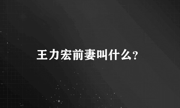 王力宏前妻叫什么？