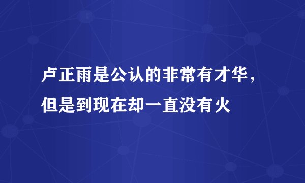 卢正雨是公认的非常有才华，但是到现在却一直没有火