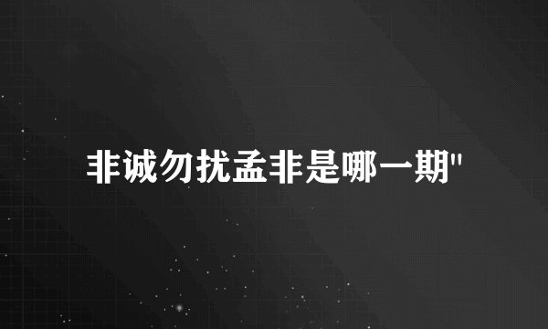 非诚勿扰孟非是哪一期