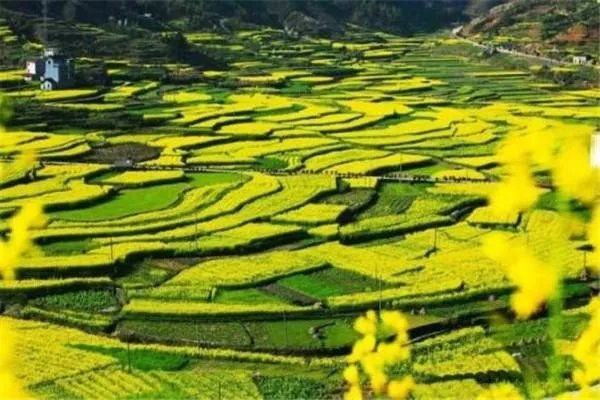惠州旅游景点排名前十分别是哪里?
