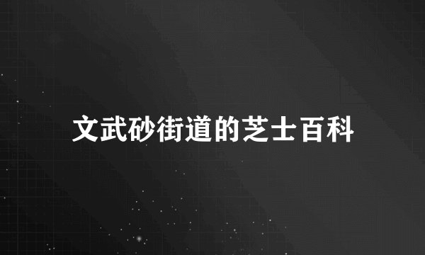 文武砂街道的芝士百科