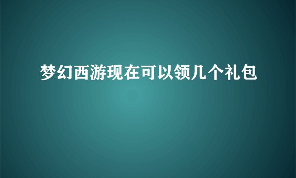 梦幻西游现在可以领几个礼包