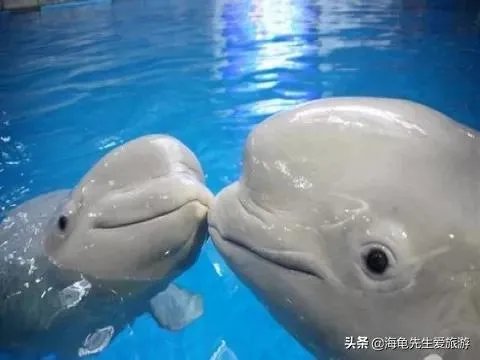 三天时间去哪旅游比较好?