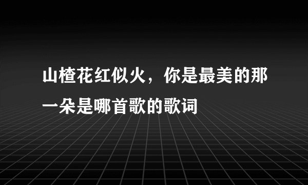 山楂花红似火,你是最美的那一朵是哪首歌的歌词