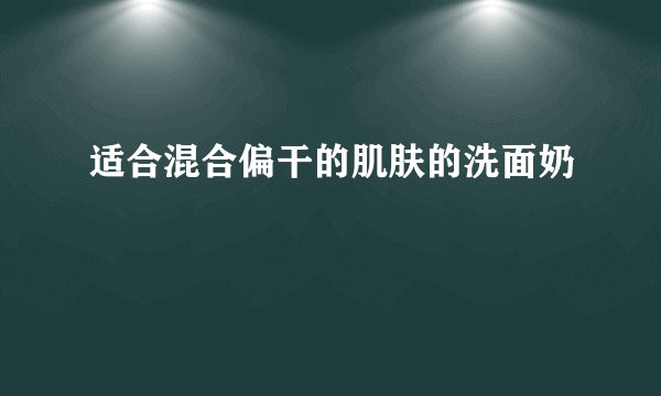 适合混合偏干的肌肤的洗面奶